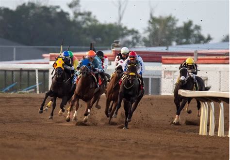 edmonton horse races|Stormy weather didn't stop August Rain at 95th Canadian Derby in Leduc.